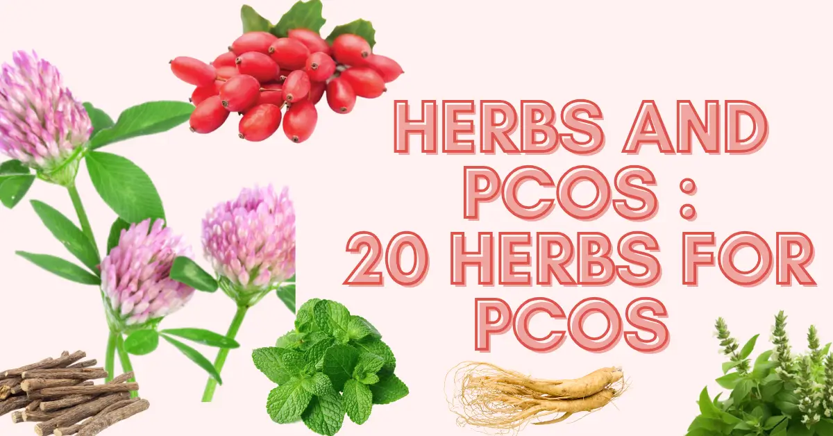 Herbs and PCOS :20 Herbs that help with PCOS symptoms